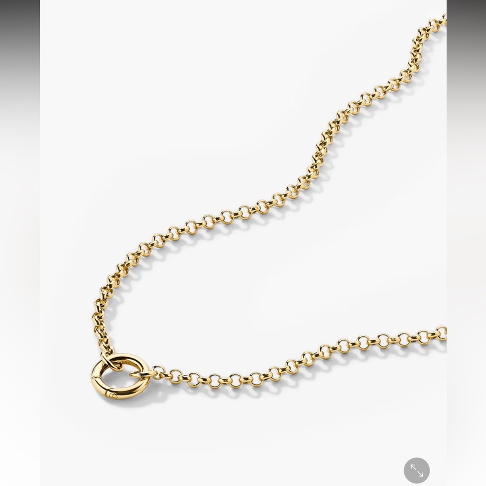 Mejuri 14k Yellow Gold ROLO CHAIN CHARM NECKLACE 20 inches